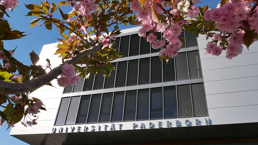 Kirschblüten Universität Paderborn