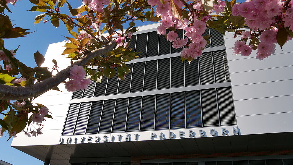 Kirschblüten Universität Paderborn