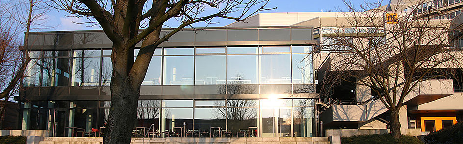 Die großen Fenster der Mensa lassen nicht nur viel Licht rein, sondern ermöglichen ebenso einen schönen Blick auf den Campus.